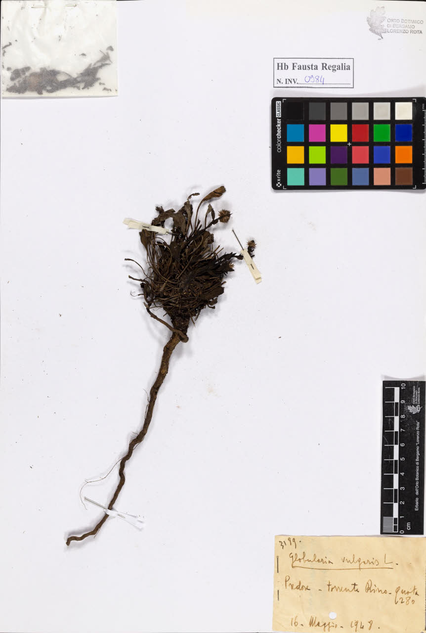 SW_BNB_s3020-00989_IMG-0000000001