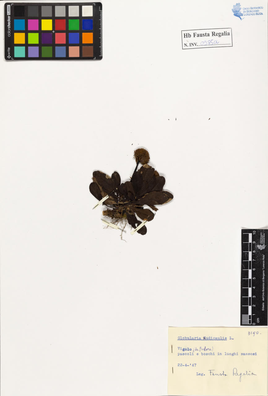 SW_BNB_s3020-00990_IMG-0000000001