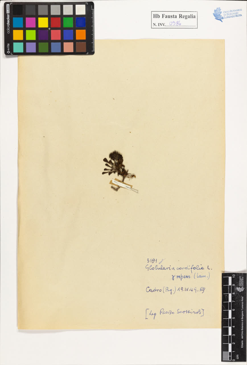 SW_BNB_s3020-00991_IMG-0000000001