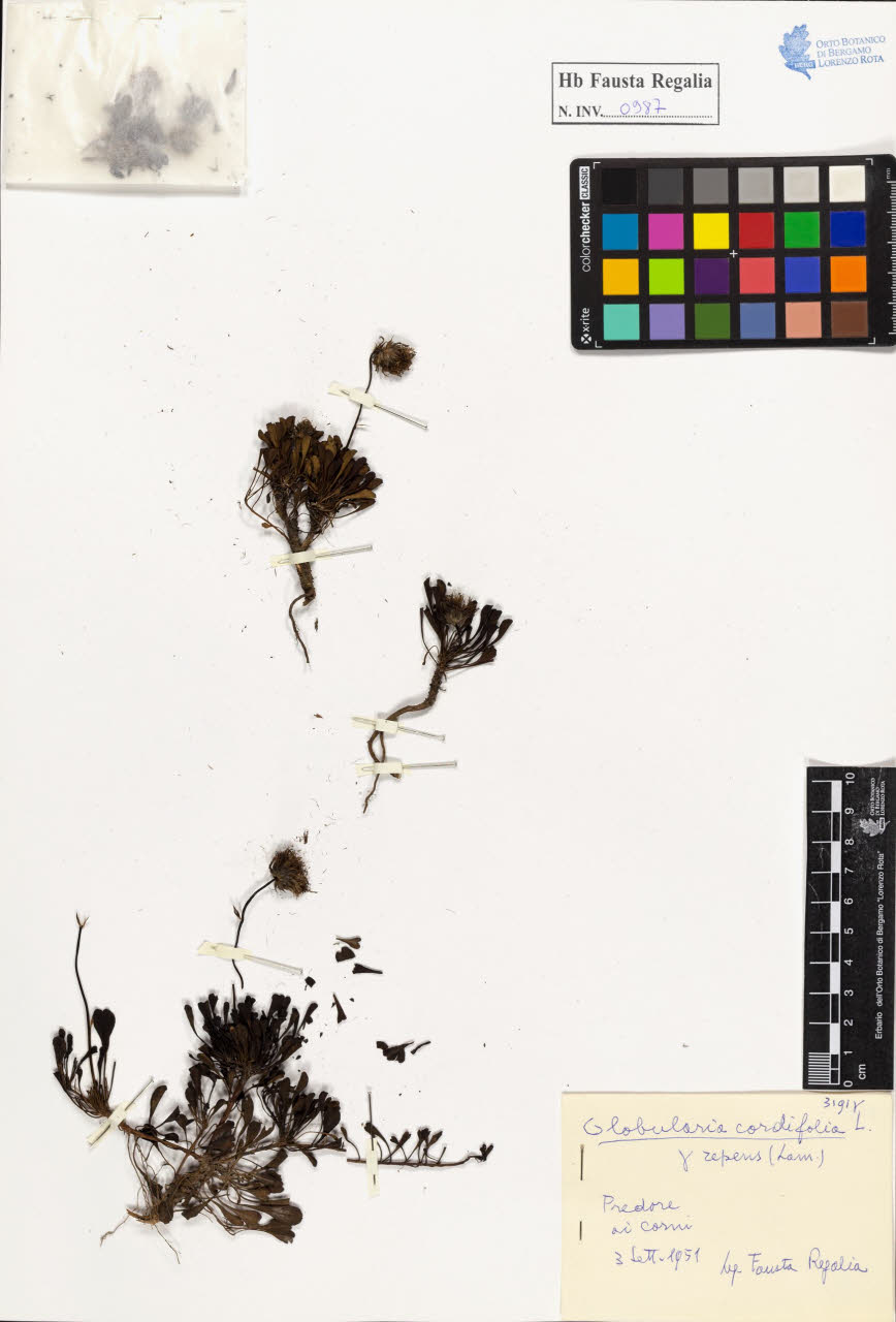 SW_BNB_s3020-00992_IMG-0000000001