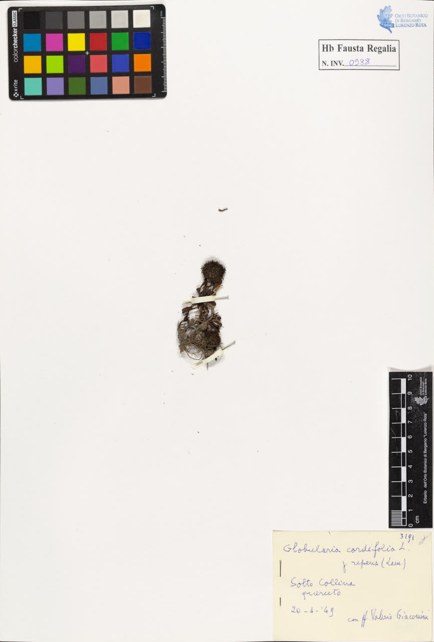 SW_BNB_s3020-00993_IMG-0000000001