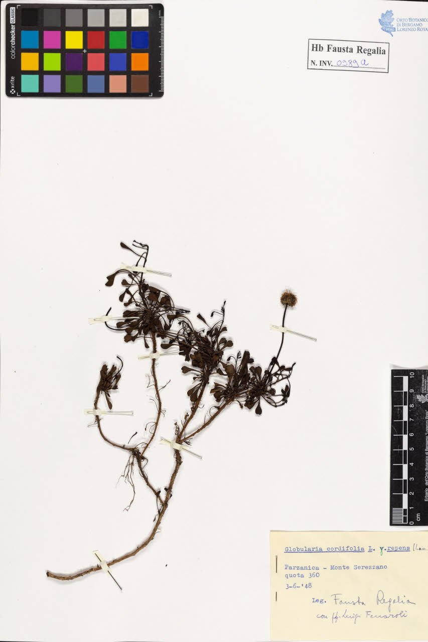 SW_BNB_s3020-00994_IMG-0000000001