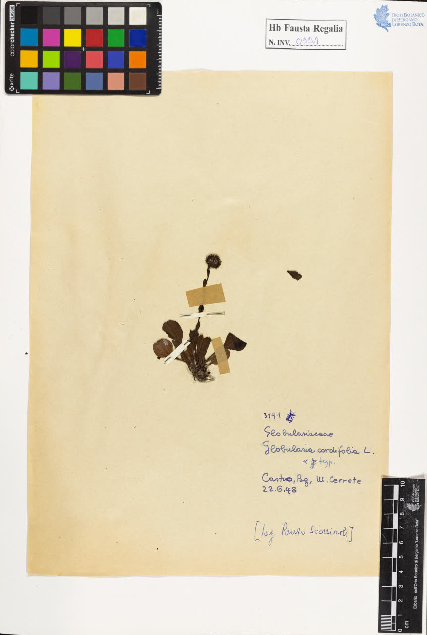 SW_BNB_s3020-00996_IMG-0000000001