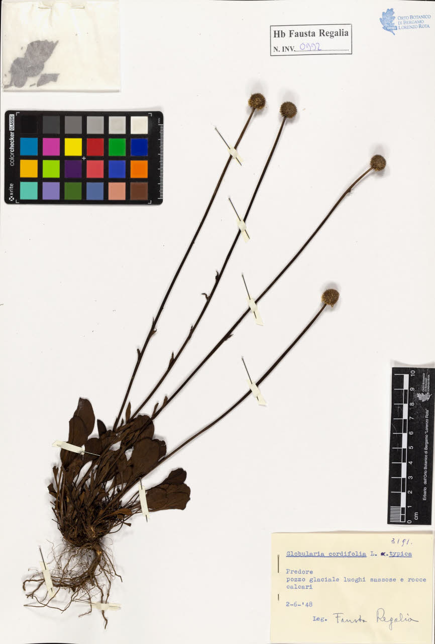 SW_BNB_s3020-00997_IMG-0000000001