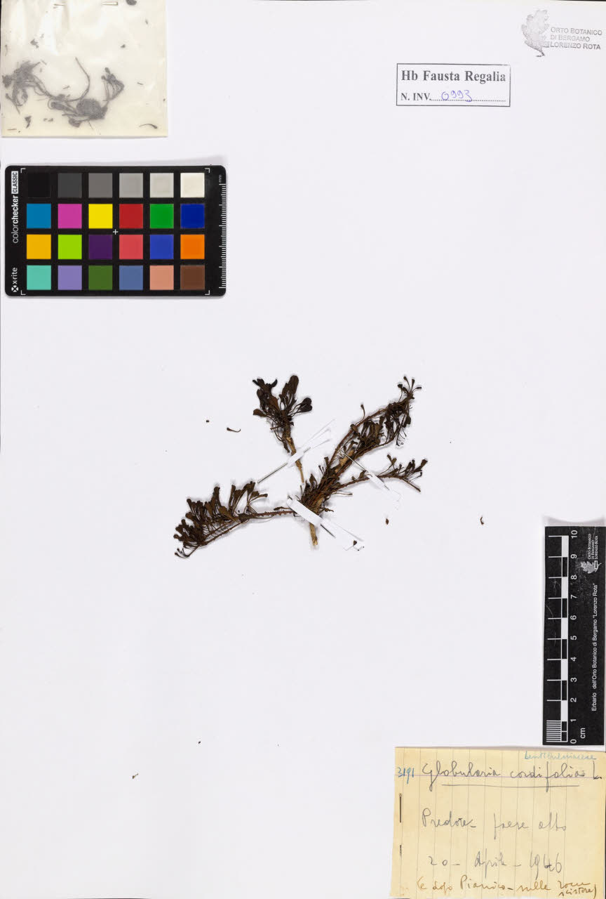 SW_BNB_s3020-00998_IMG-0000000001