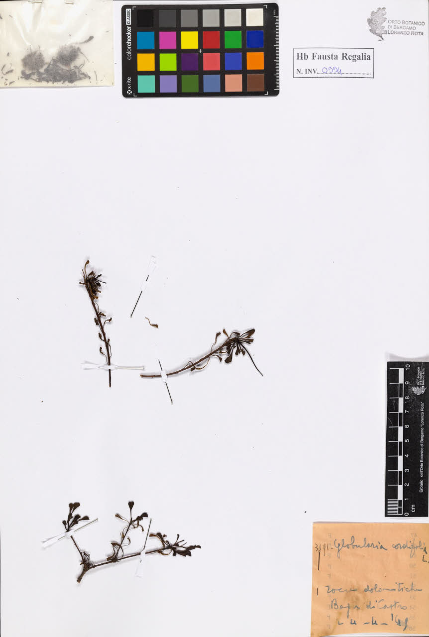 SW_BNB_s3020-00999_IMG-0000000001