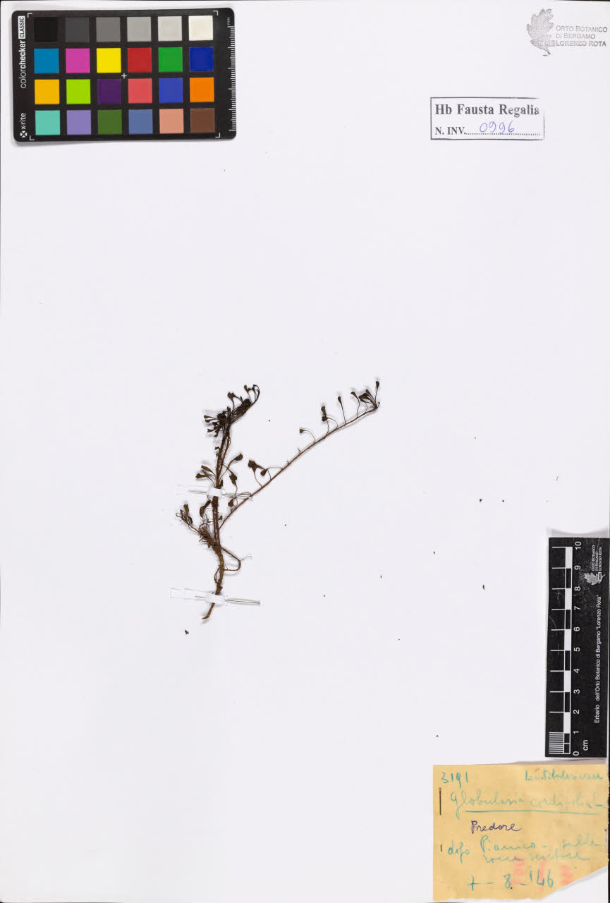 SW_BNB_s3020-01001_IMG-0000000001