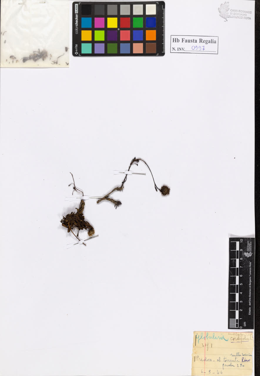 SW_BNB_s3020-01002_IMG-0000000001