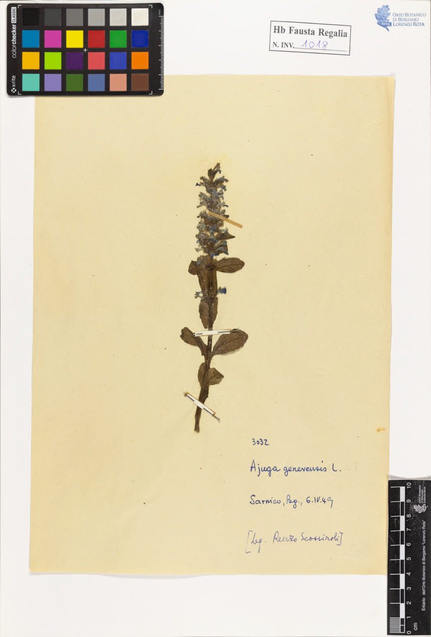 SW_BNB_s3020-01023_IMG-0000000001