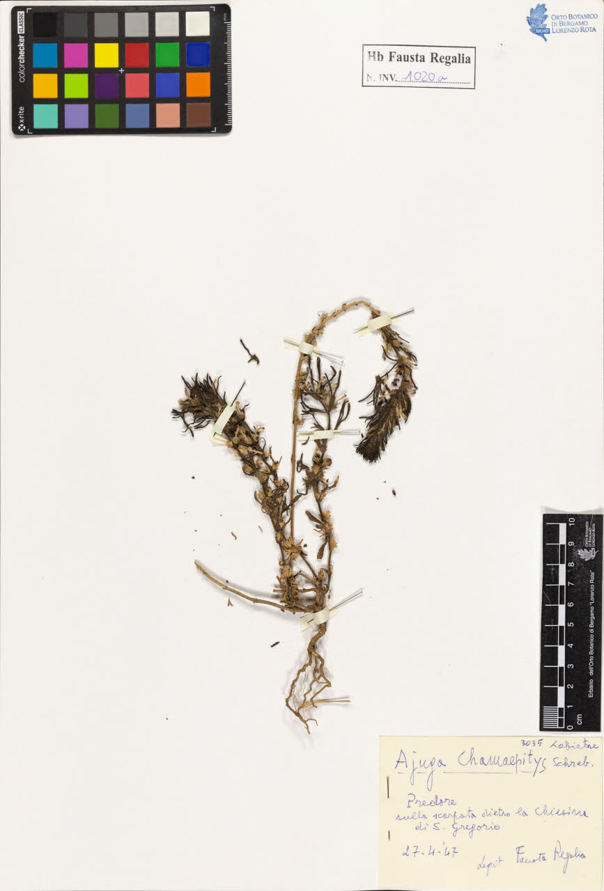 SW_BNB_s3020-01025_IMG-0000000001