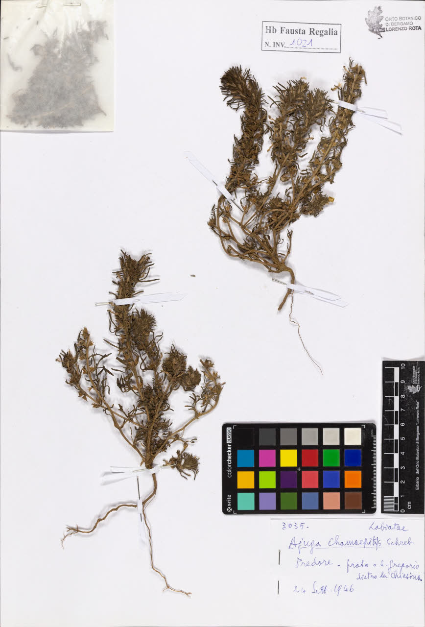 SW_BNB_s3020-01026_IMG-0000000001