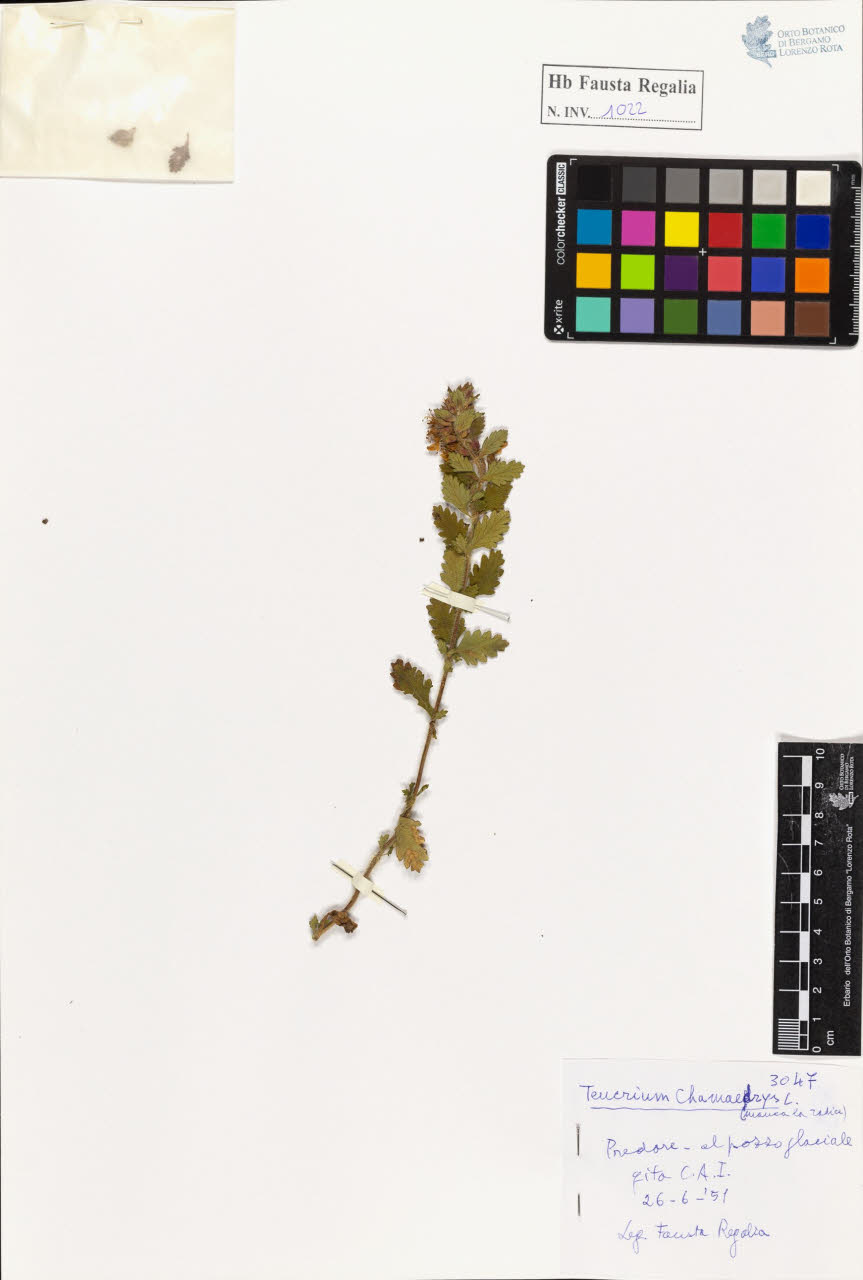 SW_BNB_s3020-01027_IMG-0000000001