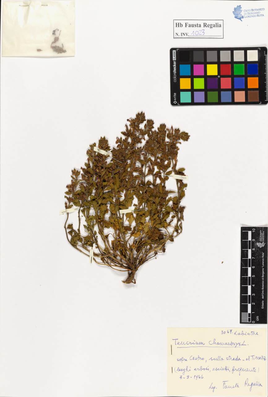 SW_BNB_s3020-01028_IMG-0000000001