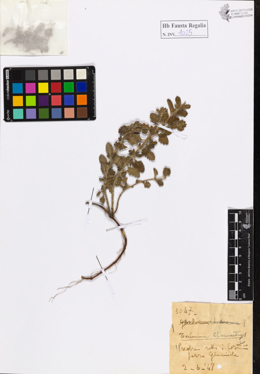 SW_BNB_s3020-01030_IMG-0000000001