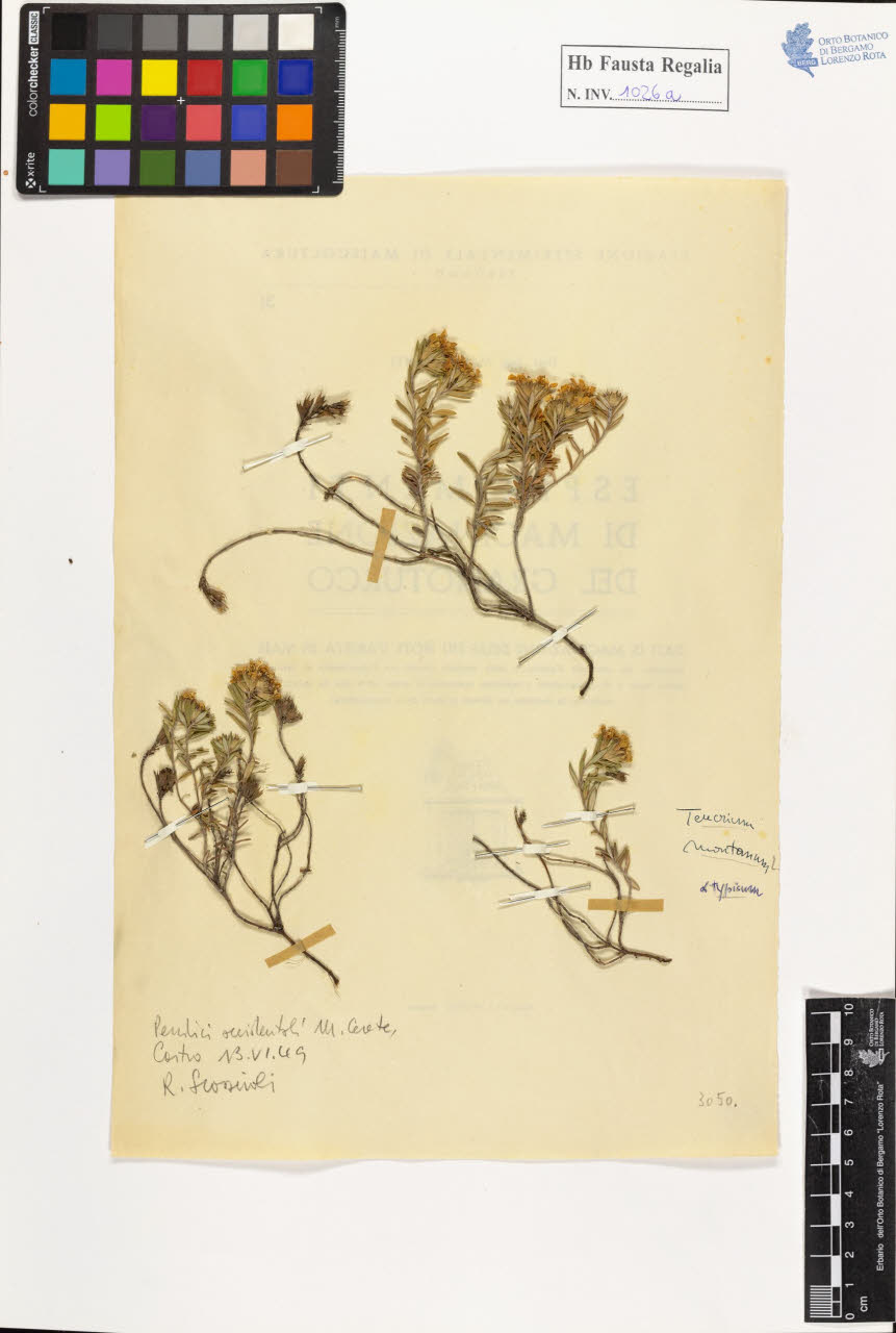 SW_BNB_s3020-01031_IMG-0000000001