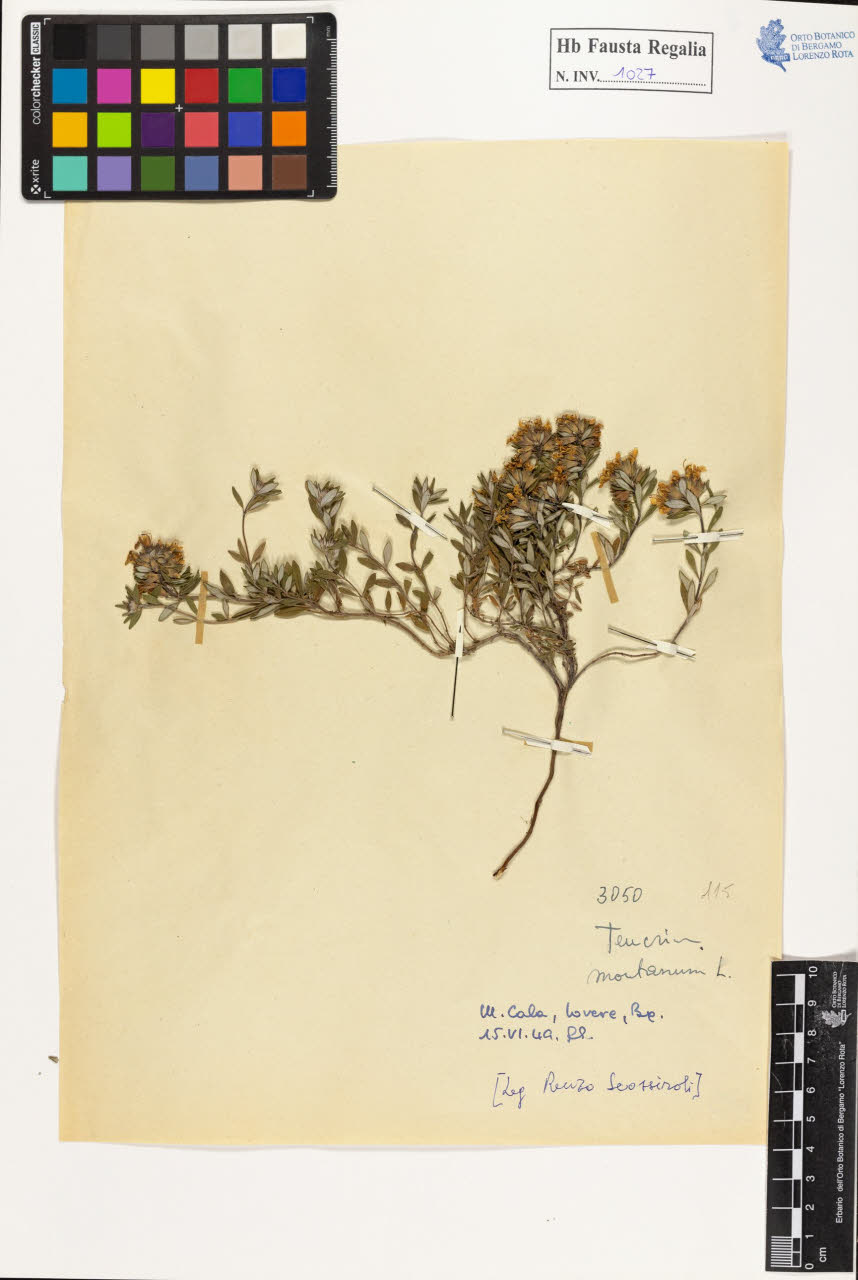 SW_BNB_s3020-01032_IMG-0000000001