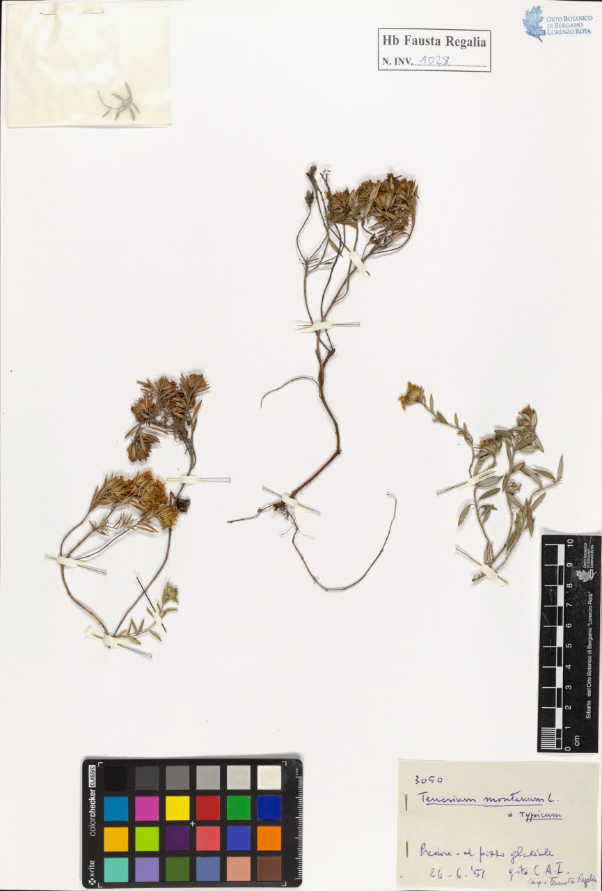 SW_BNB_s3020-01033_IMG-0000000001