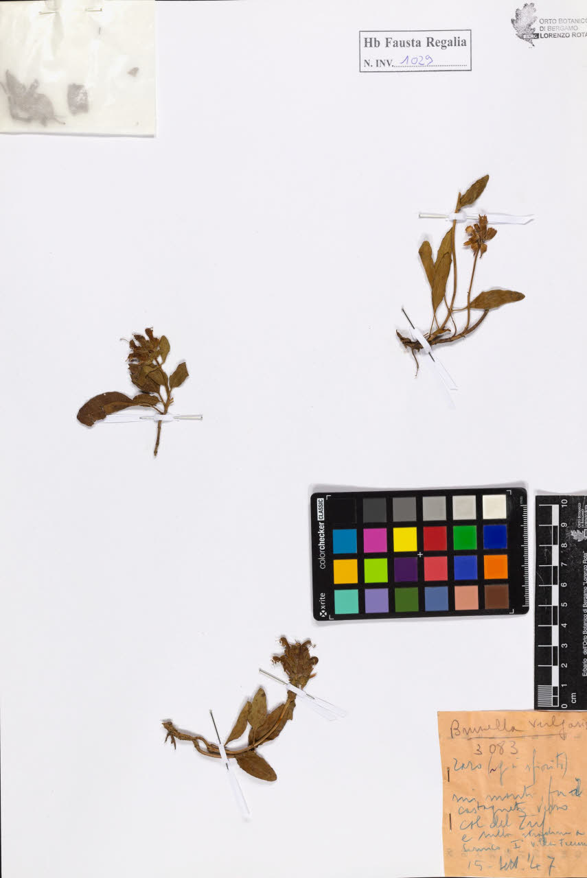 SW_BNB_s3020-01034_IMG-0000000001