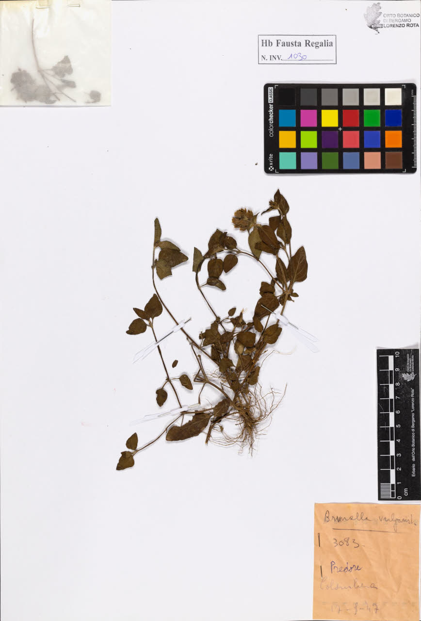 SW_BNB_s3020-01035_IMG-0000000001