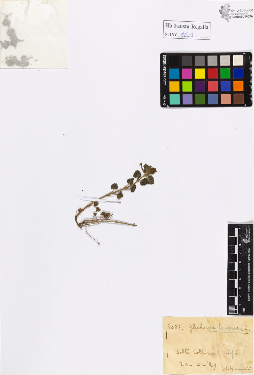 SW_BNB_s3020-01036_IMG-0000000001