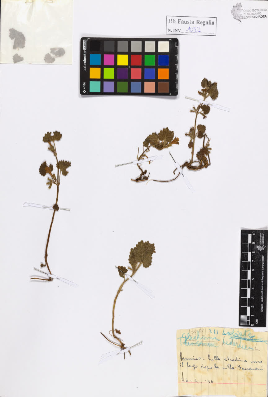 SW_BNB_s3020-01037_IMG-0000000001