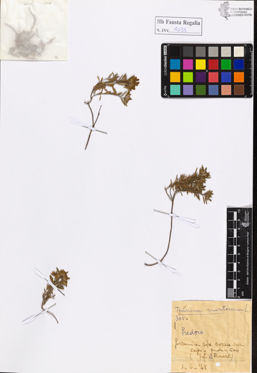 SW_BNB_s3020-01038_IMG-0000000001