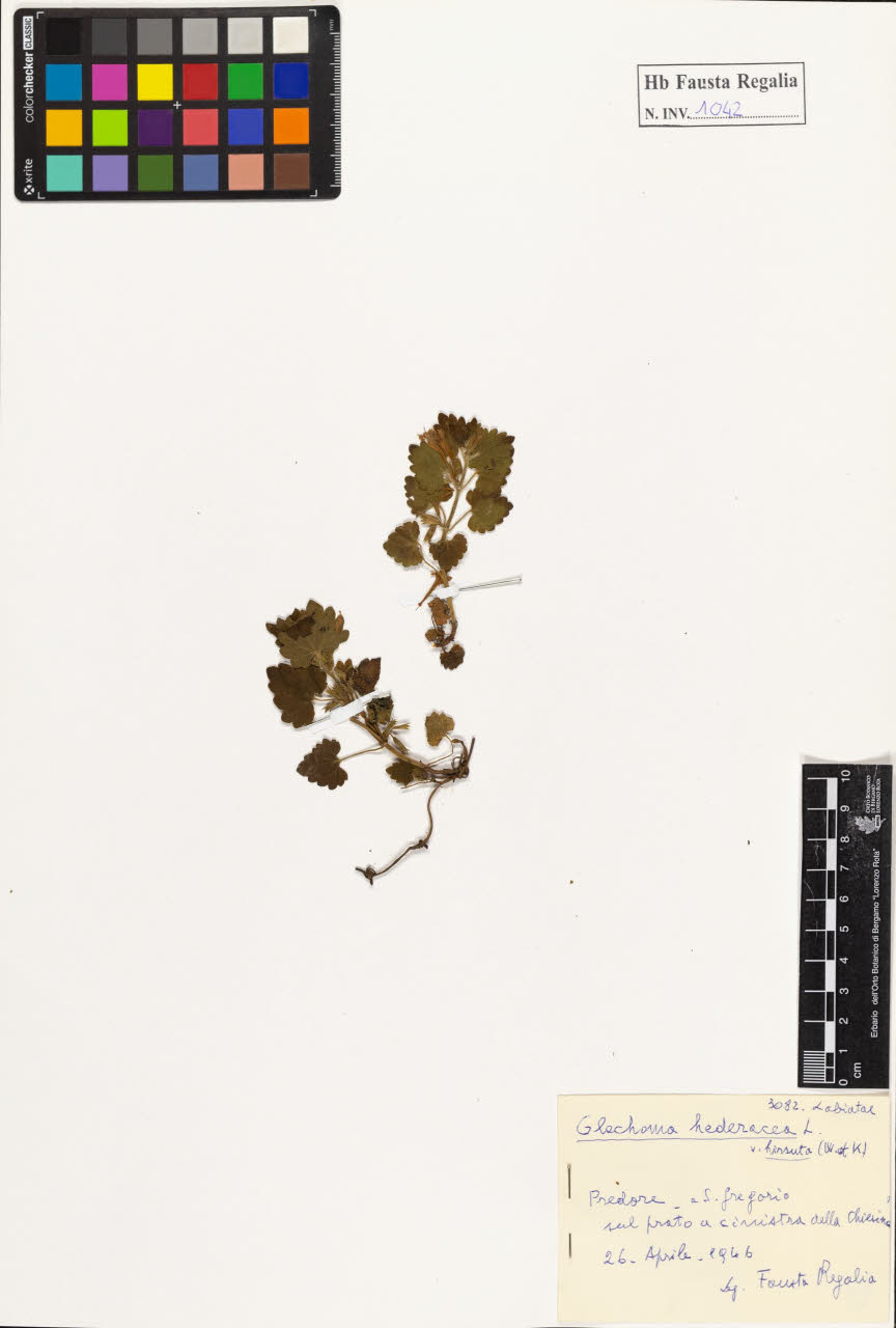 SW_BNB_s3020-01047_IMG-0000000001