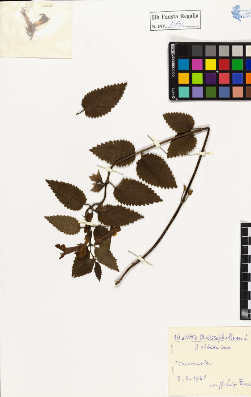 SW_BNB_s3020-01056_IMG-0000000001