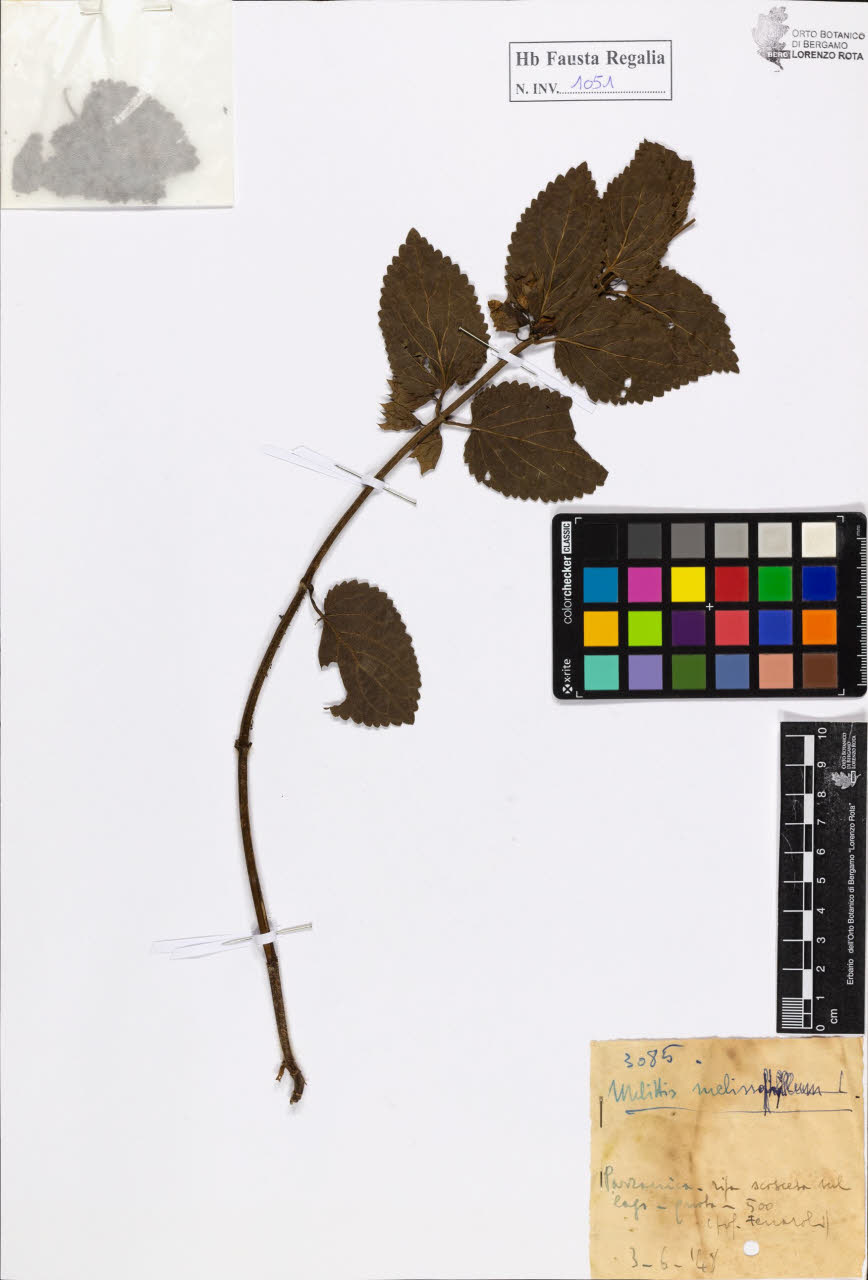 SW_BNB_s3020-01057_IMG-0000000001