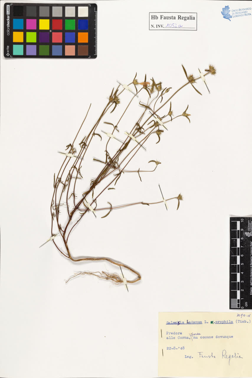 SW_BNB_s3020-01058_IMG-0000000001