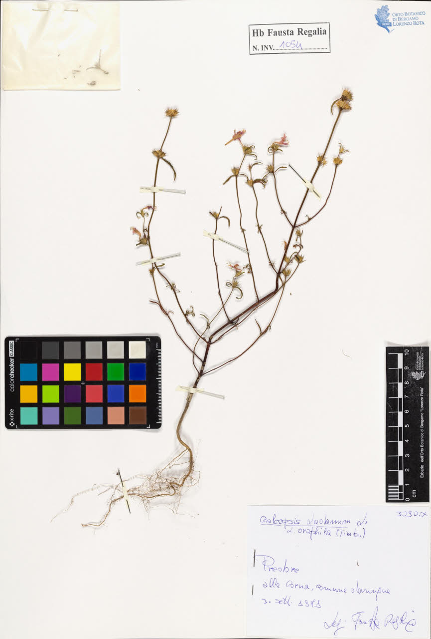 SW_BNB_s3020-01060_IMG-0000000001