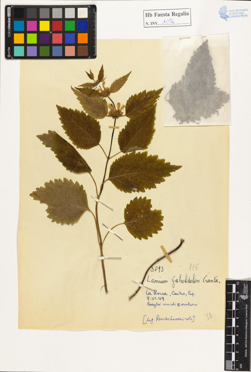 SW_BNB_s3020-01062_IMG-0000000001