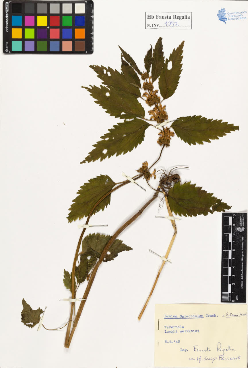 SW_BNB_s3020-01063_IMG-0000000001