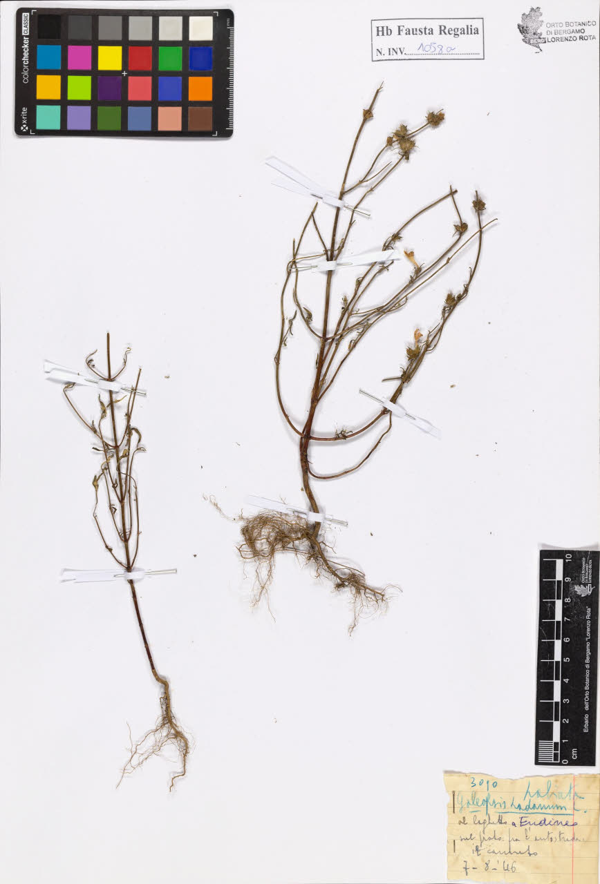 SW_BNB_s3020-01064_IMG-0000000001