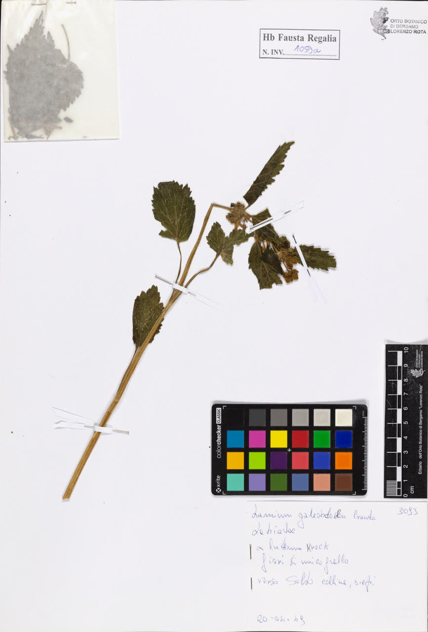 SW_BNB_s3020-01065_IMG-0000000001