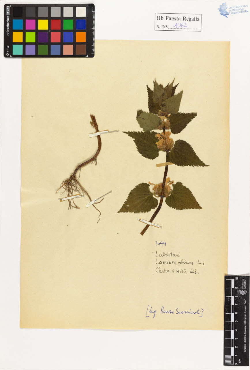 SW_BNB_s3020-01068_IMG-0000000001