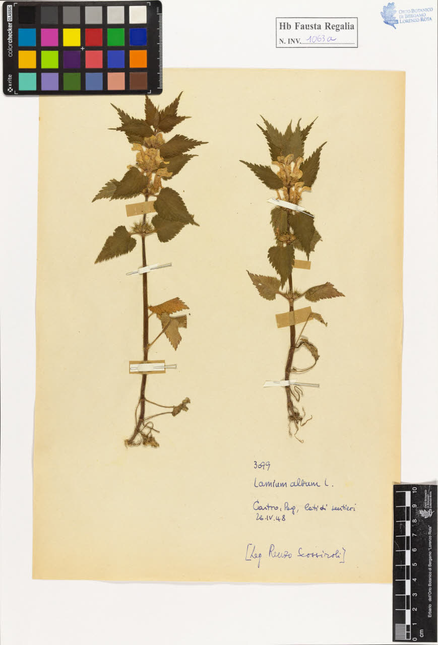 SW_BNB_s3020-01069_IMG-0000000001