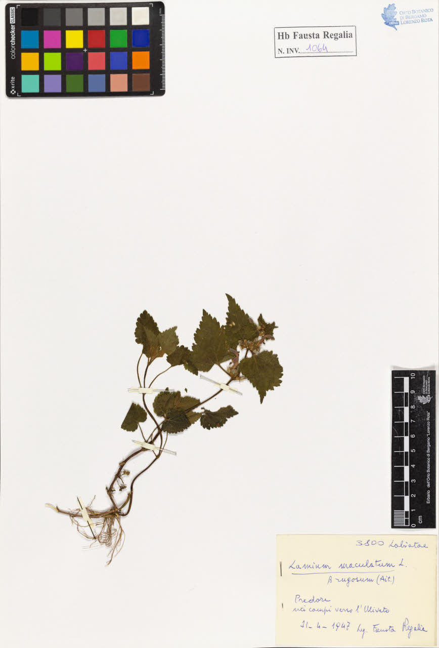 SW_BNB_s3020-01070_IMG-0000000001