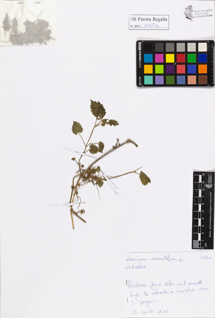 SW_BNB_s3020-01071_IMG-0000000001