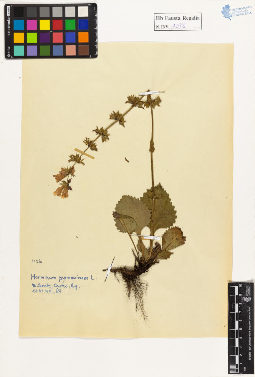 SW_BNB_s3020-01084_IMG-0000000001