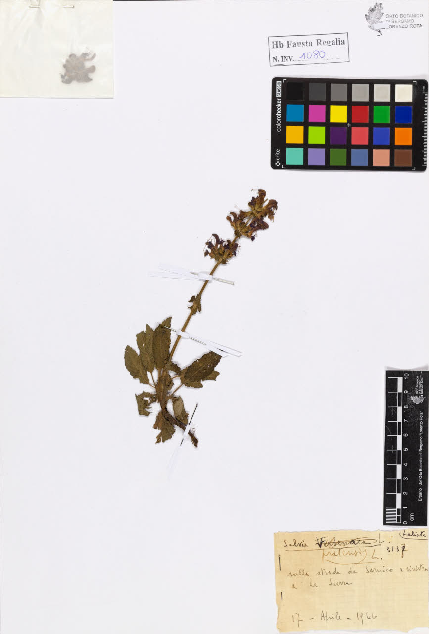 SW_BNB_s3020-01086_IMG-0000000001