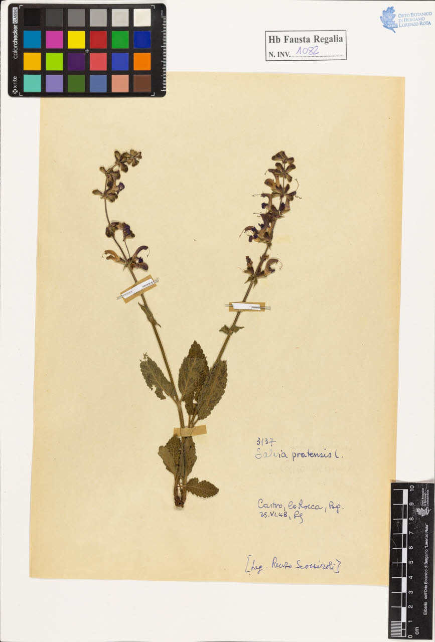 SW_BNB_s3020-01088_IMG-0000000001