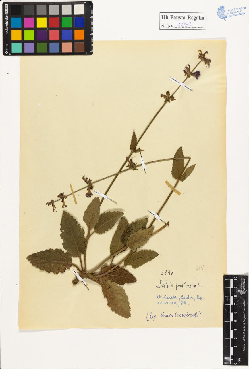 SW_BNB_s3020-01089_IMG-0000000001