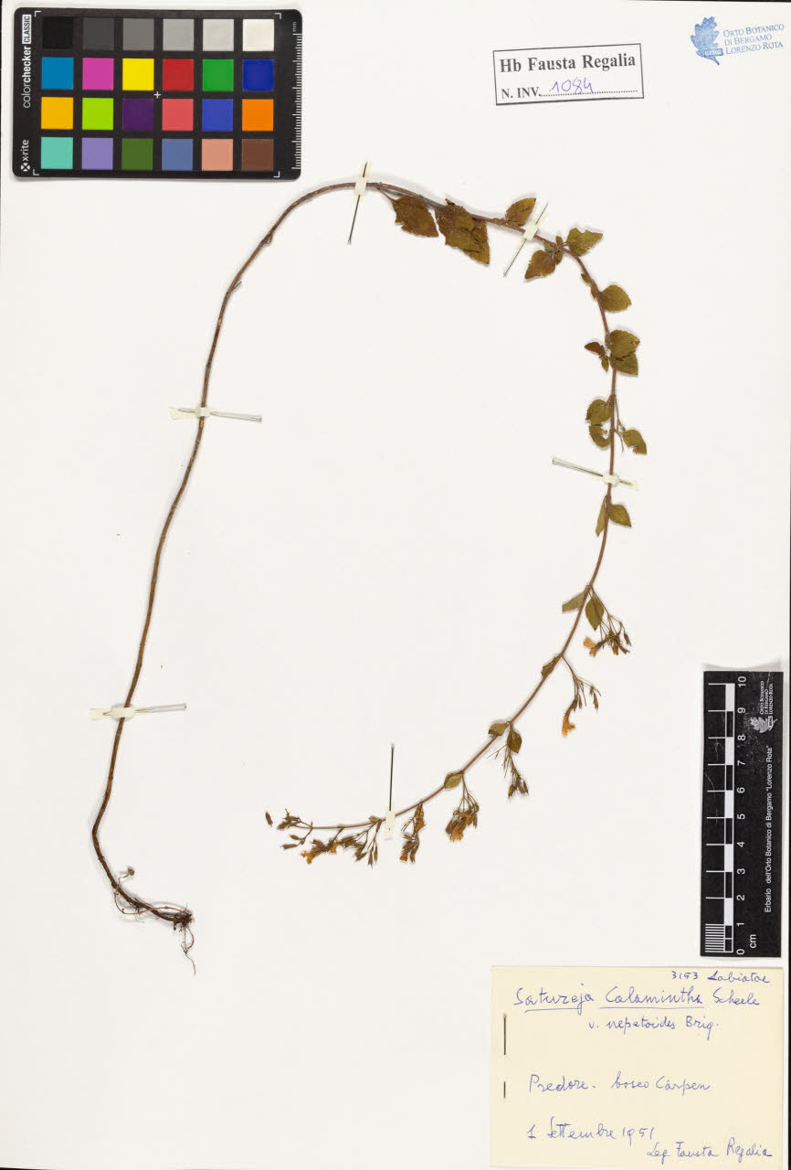 SW_BNB_s3020-01090_IMG-0000000001