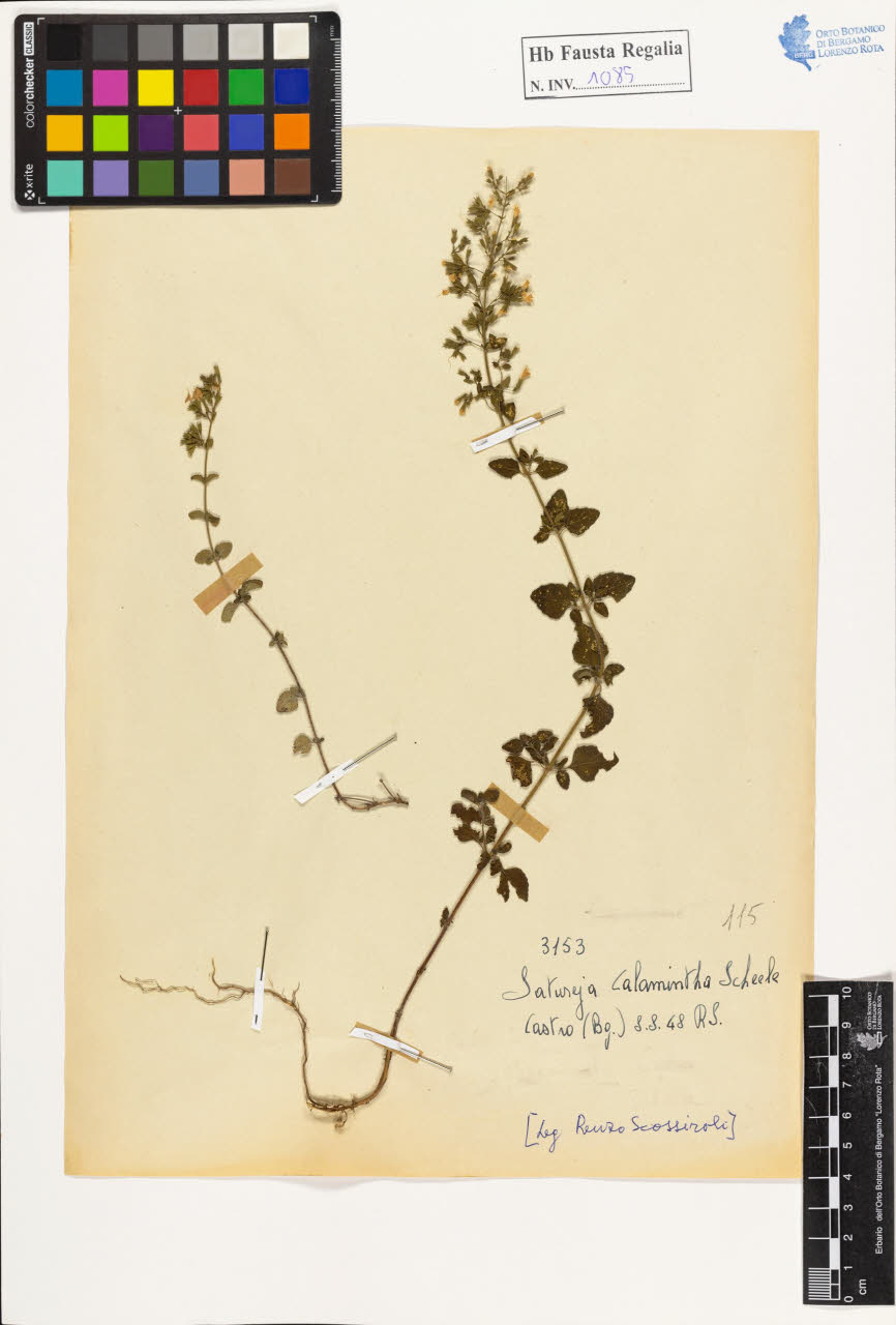 SW_BNB_s3020-01091_IMG-0000000001