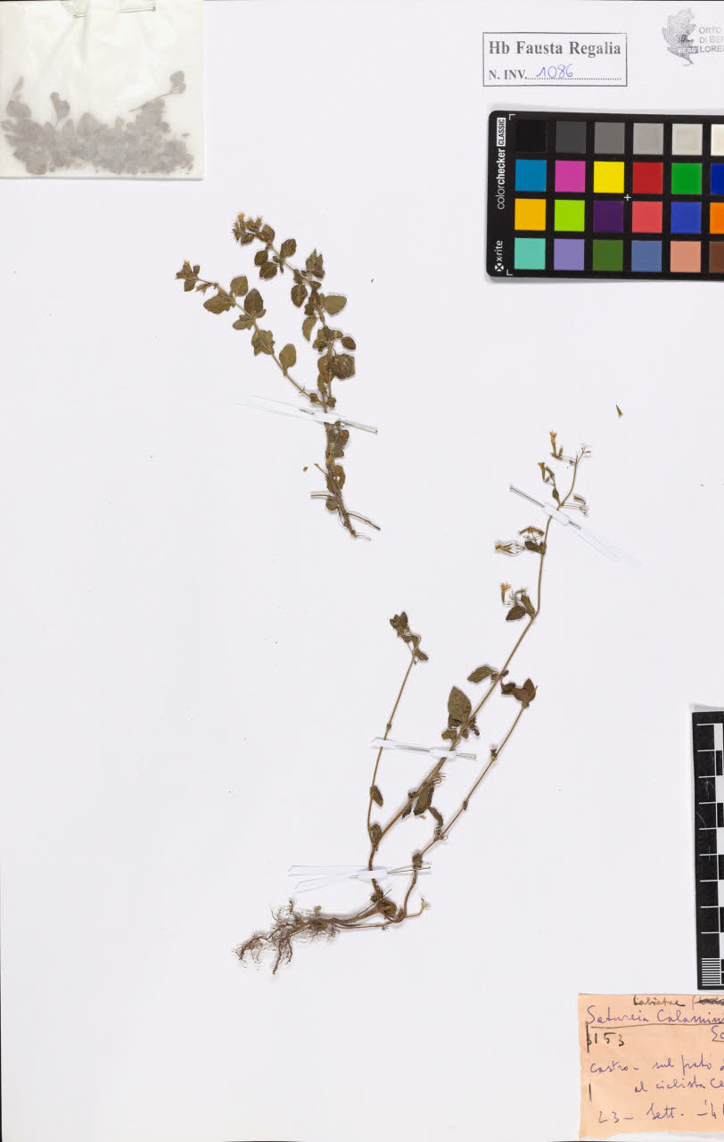 SW_BNB_s3020-01092_IMG-0000000001