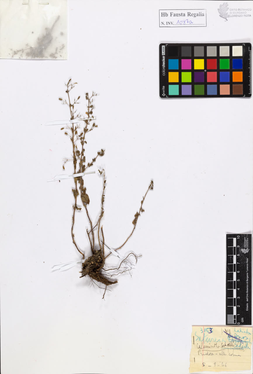 SW_BNB_s3020-01093_IMG-0000000001