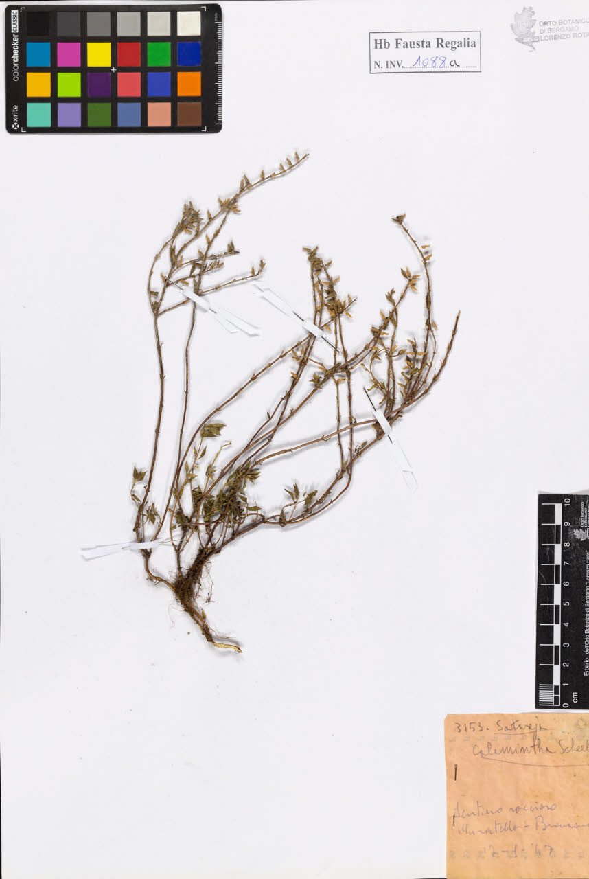 SW_BNB_s3020-01094_IMG-0000000001