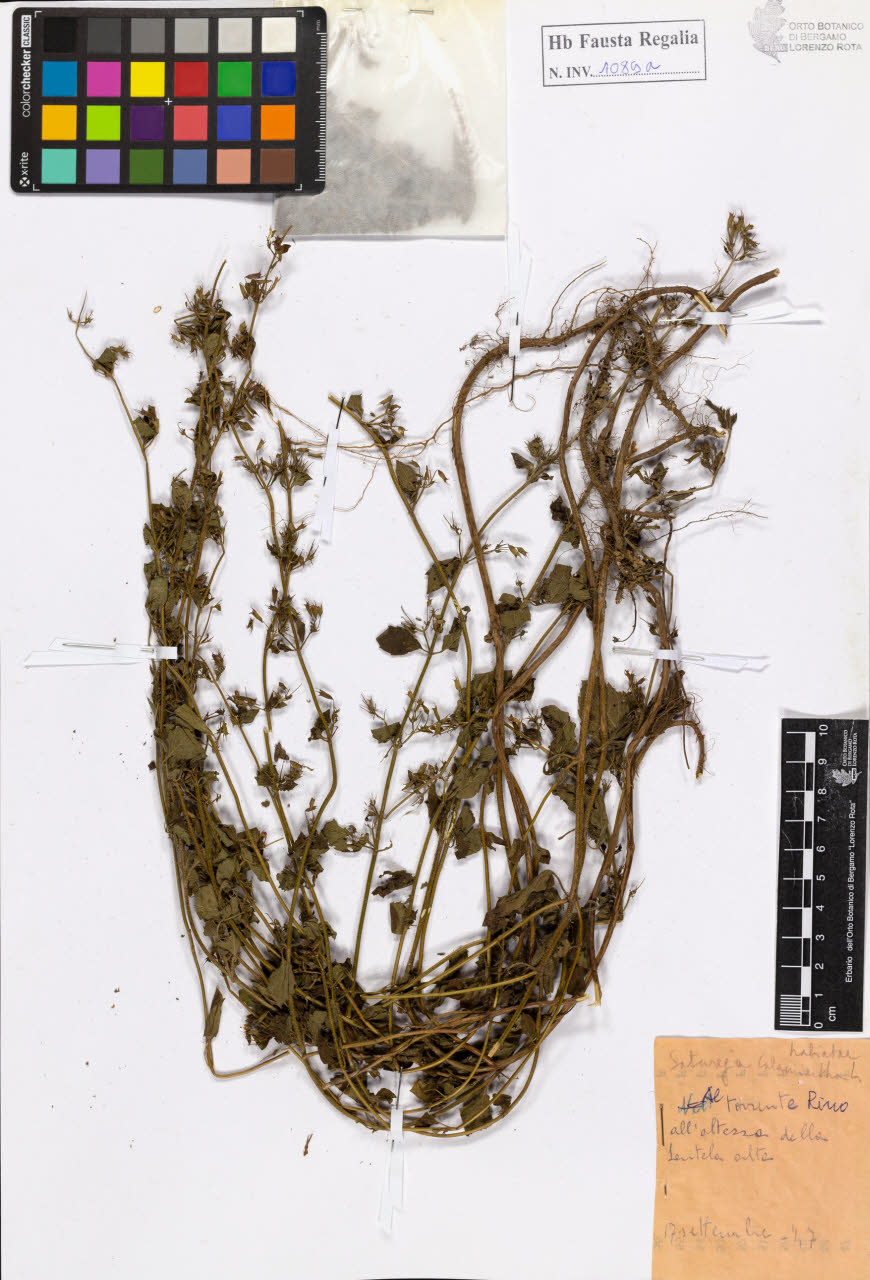 SW_BNB_s3020-01095_IMG-0000000001