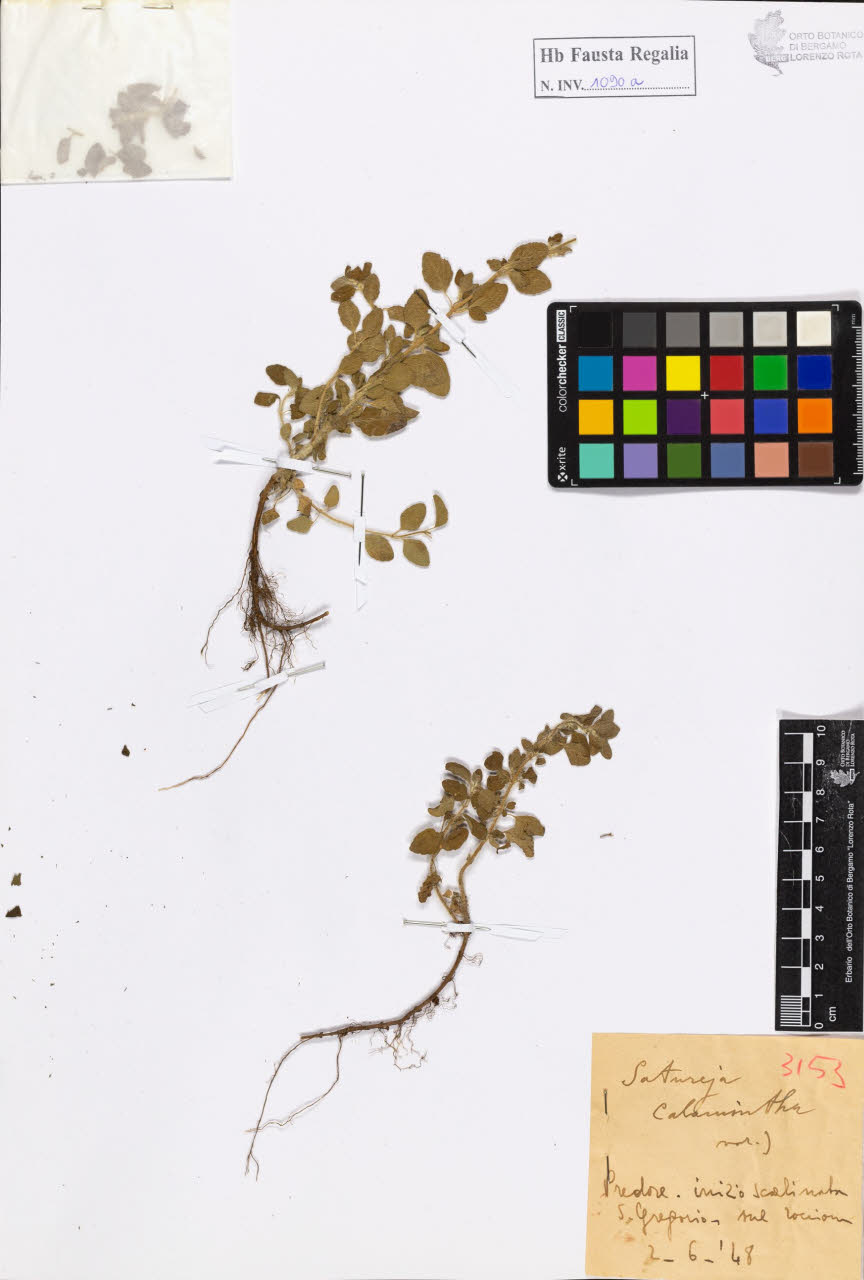 SW_BNB_s3020-01096_IMG-0000000001